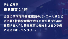 全国の消防隊や高速道路のパトロール隊などに密着！壮絶な現場で我々の命を救うために奮闘する人々と緊急車両の知られざるウラ側に迫るドキュメンタリー。